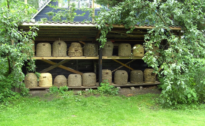 Bijenstand met zwarte bijen in korven