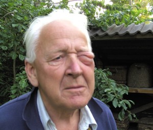 If you cut the grass with noisy and stinking maschines, even under the skeps, don't wonder that normal bees will sting normal defensif behaviour, skep, strawskeps