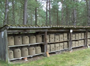 Kanitzskep, Lüneburg skep, heathercombhoney